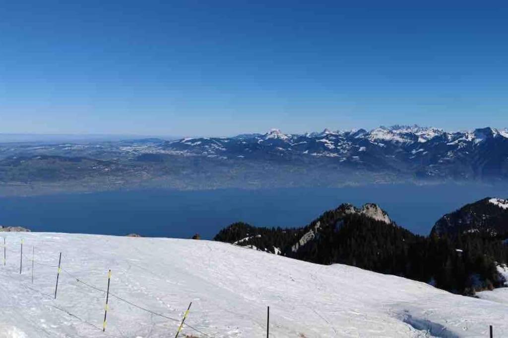 Studio Myrtilles Du Leman Vue Sur Lac Et Montagne Толлон Экстерьер фото