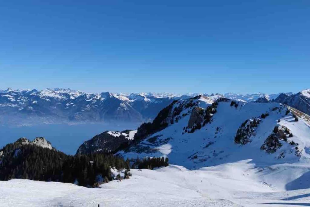 Studio Myrtilles Du Leman Vue Sur Lac Et Montagne Толлон Экстерьер фото